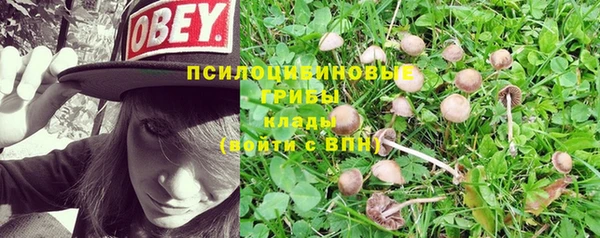 меф Беломорск