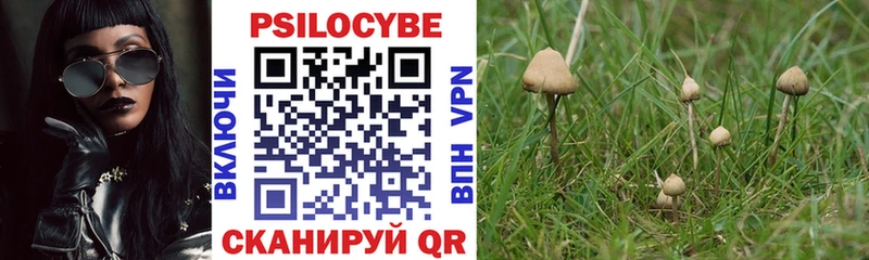 как найти наркотики Кузнецк мега зеркало Псилоцибиновые грибы мицелий